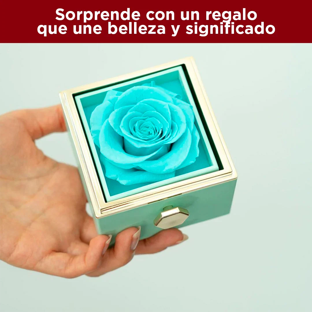 Porta-Joyas con Rosa que Dura 5 Años + Collar Sofisticado | El Regalo Inolvidable para Momentos Especiales